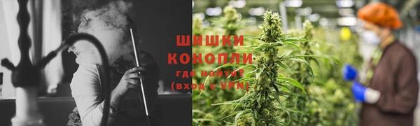 сатива Алексин