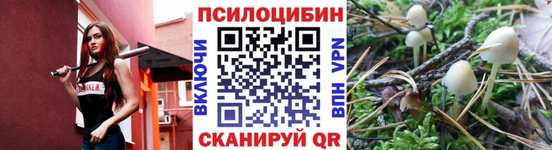 Псилоцибиновые грибы прущие грибы нарко площадка официальный сайт Пролетарск
